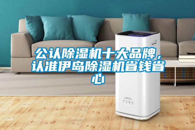 公認除濕機十大品牌，認準伊島除濕機省錢省心