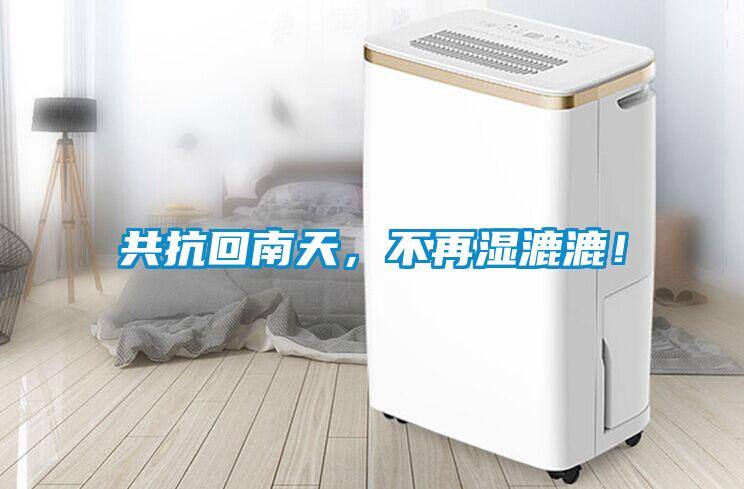 共抗回南天，不再濕漉漉！