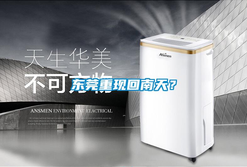 東莞重現(xiàn)回南天？