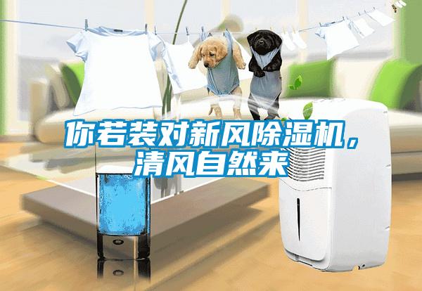 你若裝對新風除濕機，清風自然來