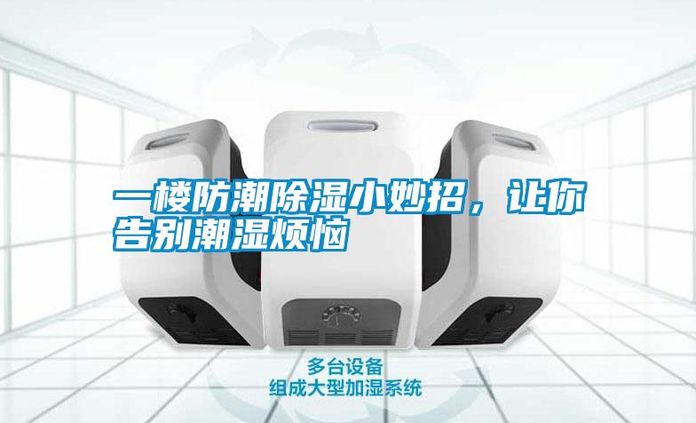 一樓防潮除濕小妙招，讓你告別潮濕煩惱