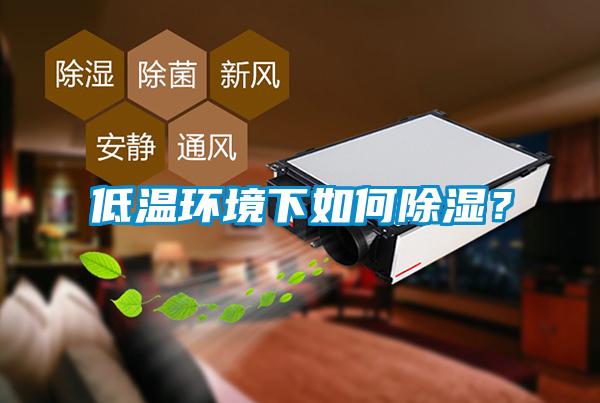 低溫環(huán)境下如何除濕？