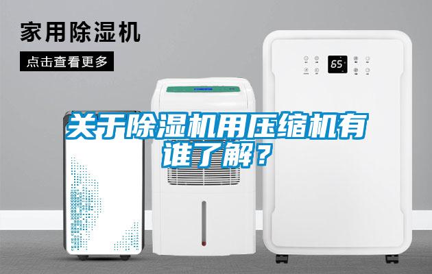 關(guān)于除濕機(jī)用壓縮機(jī)有誰(shuí)了解？