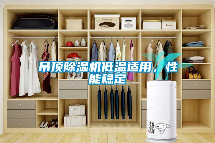 吊頂除濕機(jī)低溫適用，性能穩(wěn)定