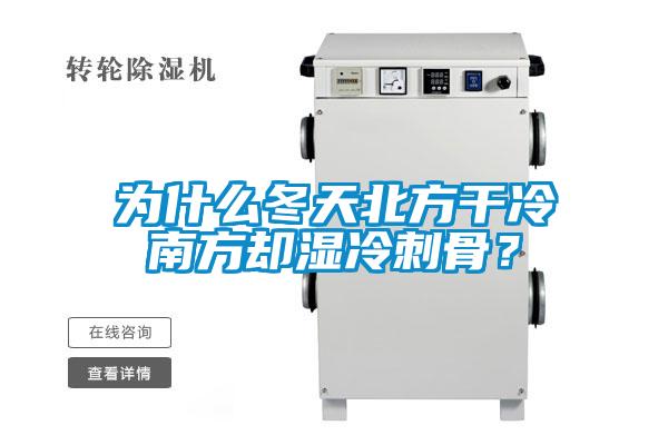 為什么冬天北方干冷南方卻濕冷刺骨？