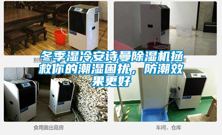 冬季濕冷安詩曼除濕機拯救你的潮濕困擾，防潮效果更好