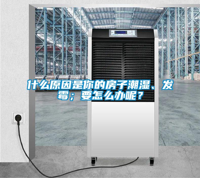 什么原因是你的房子潮濕、發(fā)霉；要怎么辦呢？