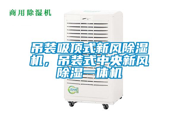 吊裝吸頂式新風(fēng)除濕機(jī)，吊裝式中央新風(fēng)除濕一體機(jī)