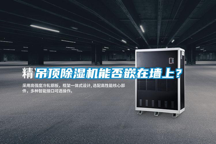 吊頂除濕機能否嵌在墻上？