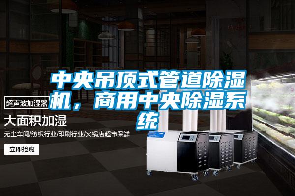 中央吊頂式管道除濕機(jī)，商用中央除濕系統(tǒng)