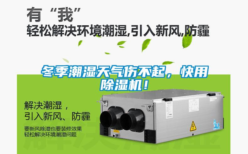 冬季潮濕天氣傷不起，快用除濕機！