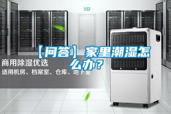 【問答】家里潮濕怎么辦？