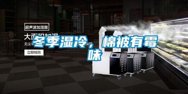 冬季濕冷，棉被有霉味