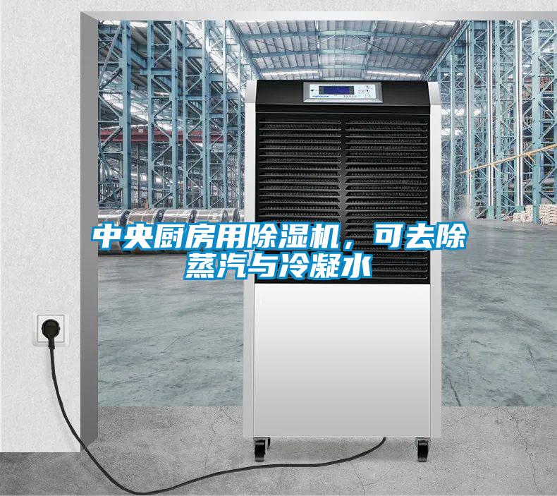 中央廚房用除濕機(jī)，可去除蒸汽與冷凝水