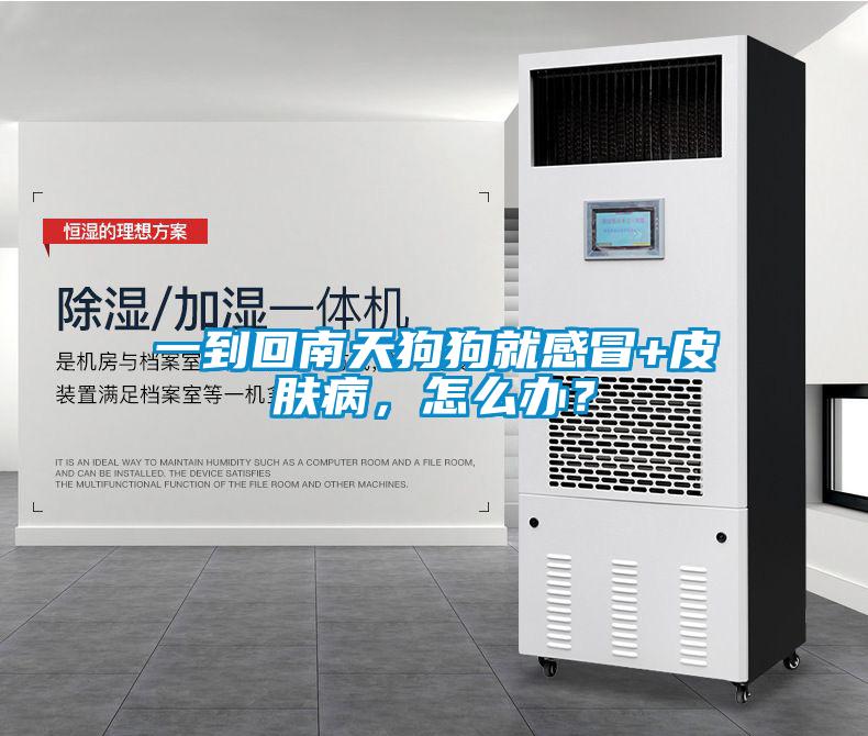 一到回南天狗狗就感冒+皮膚病，怎么辦？