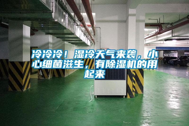 冷冷冷！濕冷天氣來(lái)襲，小心細(xì)菌滋生，有除濕機(jī)的用起來(lái)