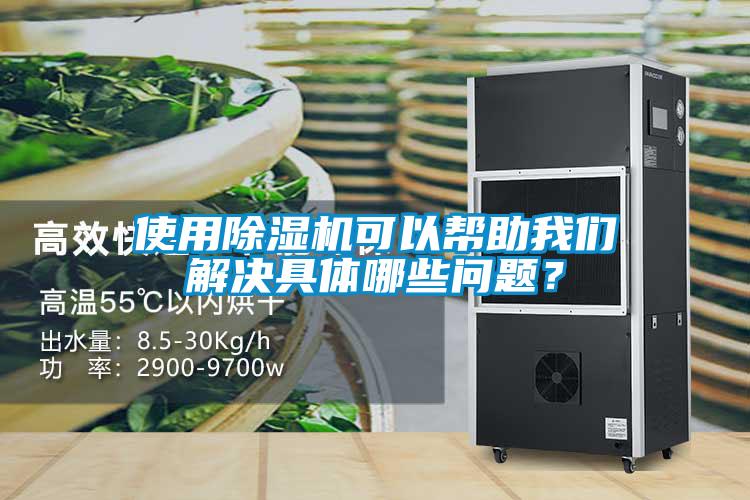 使用除濕機可以幫助我們解決具體哪些問題？
