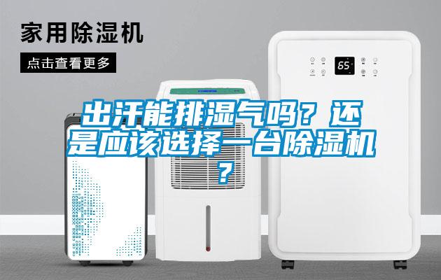出汗能排濕氣嗎？還是應該選擇一臺除濕機？