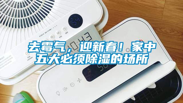 去霉氣，迎新春！家中五大必須除濕的場所