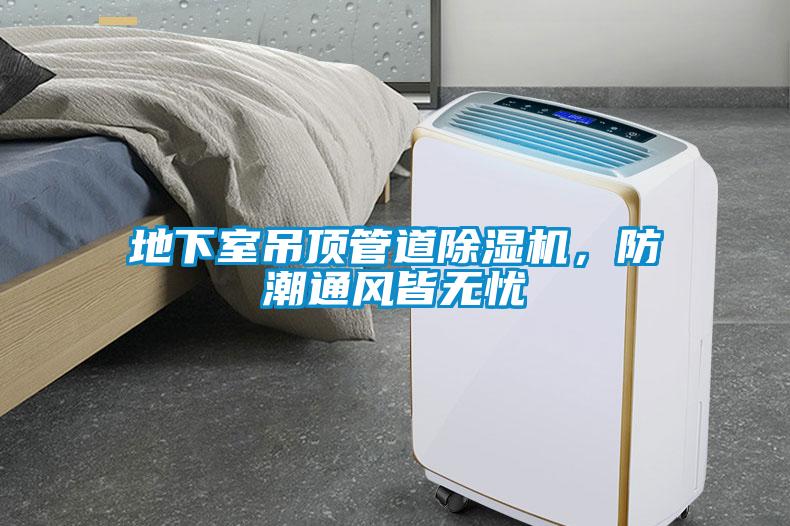 地下室吊頂管道除濕機(jī)，防潮通風(fēng)皆無(wú)憂