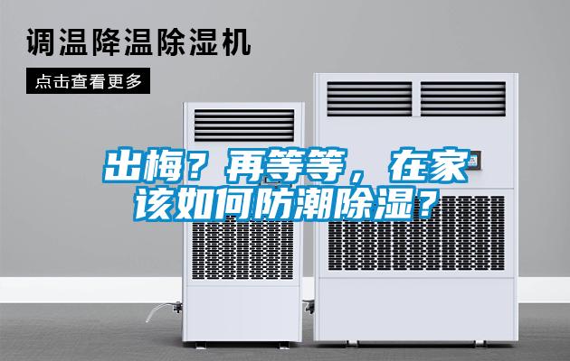 出梅？再等等，在家該如何防潮除濕？