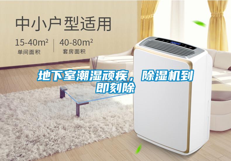 地下室潮濕頑疾，除濕機(jī)到即刻除