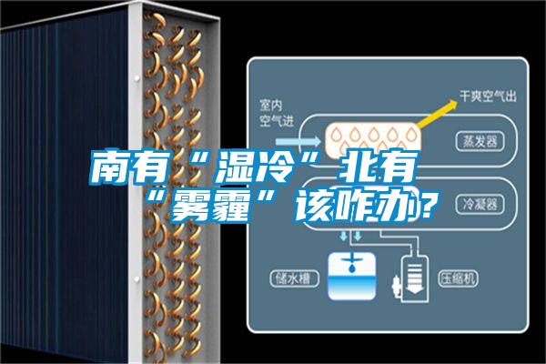 南有“濕冷”北有“霧霾”該咋辦？