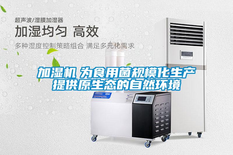 加濕機　為食用菌規(guī)?；a(chǎn)提供原生態(tài)的自然環(huán)境