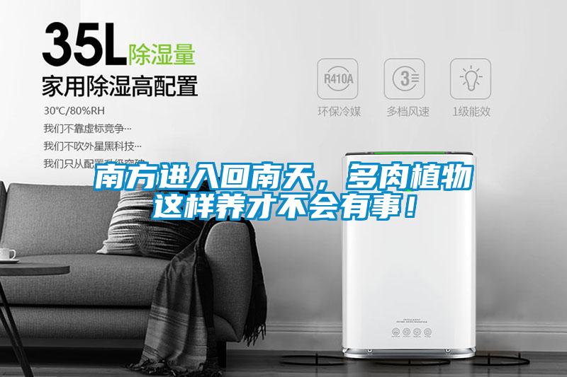 南方進(jìn)入回南天，多肉植物這樣養(yǎng)才不會(huì)有事！