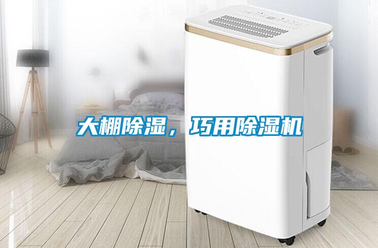 大棚除濕，巧用除濕機(jī)