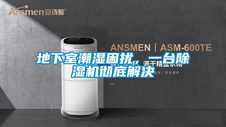 地下室潮濕困擾，一臺除濕機徹底解決