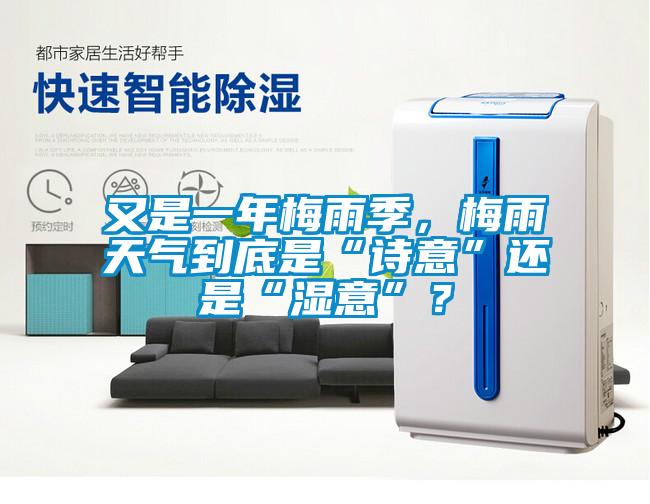 又是一年梅雨季，梅雨天氣到底是“詩(shī)意”還是“濕意”？