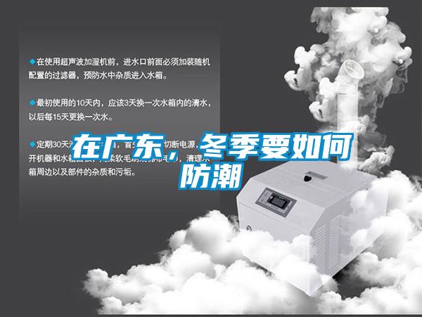 在廣東，冬季要如何防潮