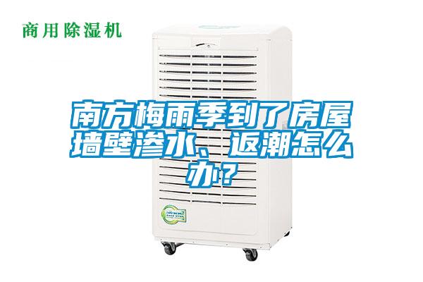 南方梅雨季到了房屋墻壁滲水、返潮怎么辦？