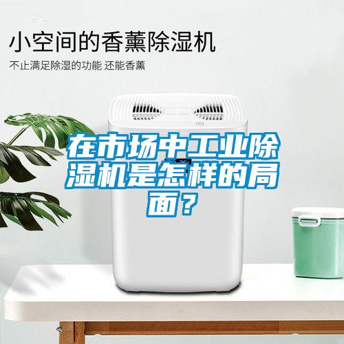 在市場中工業(yè)除濕機(jī)是怎樣的局面？