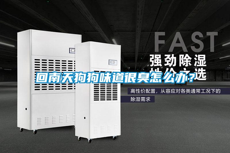 回南天狗狗味道很臭怎么辦？