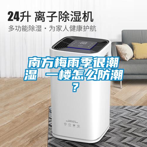 南方梅雨季很潮濕 一樓怎么防潮？