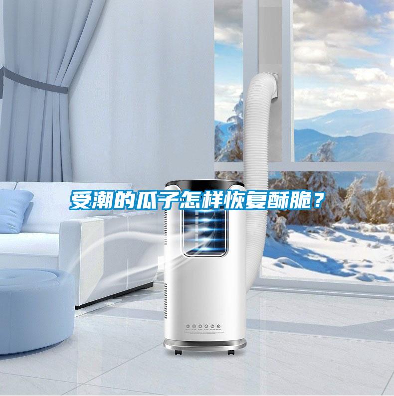 受潮的瓜子怎樣恢復(fù)酥脆?