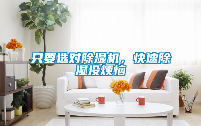 只要選對除濕機(jī)，快速除濕沒煩惱