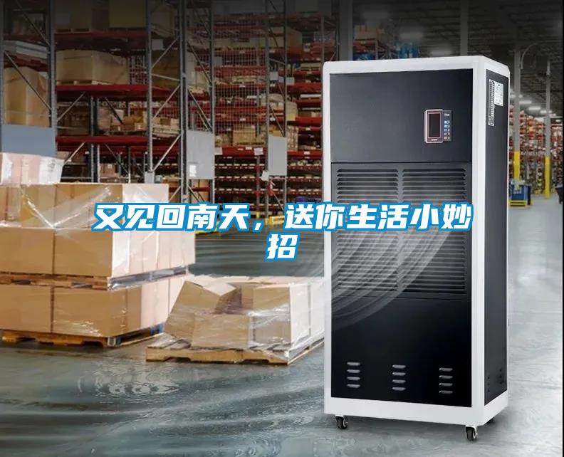 又見(jiàn)回南天，送你生活小妙招