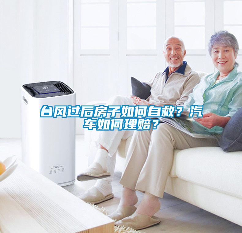 臺風過后房子如何自救？汽車如何理賠？