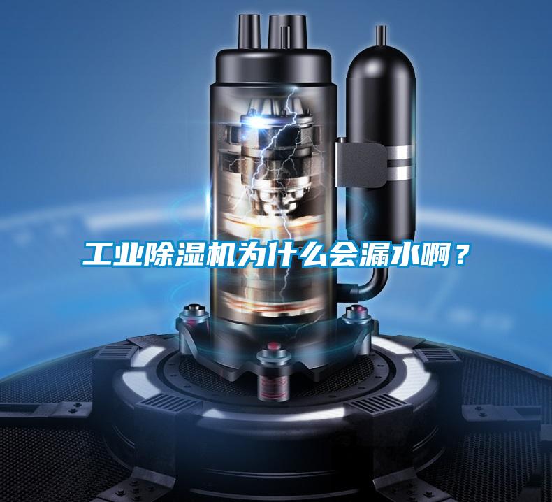 工業(yè)除濕機為什么會漏水??？