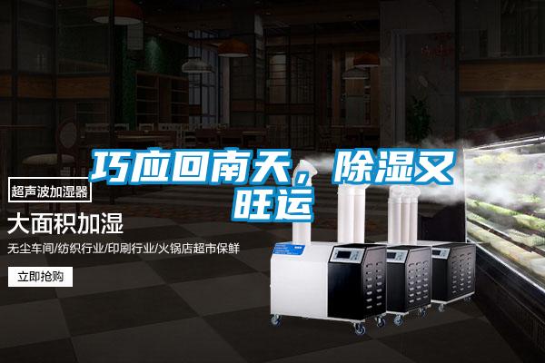 巧應(yīng)回南天，除濕又旺運