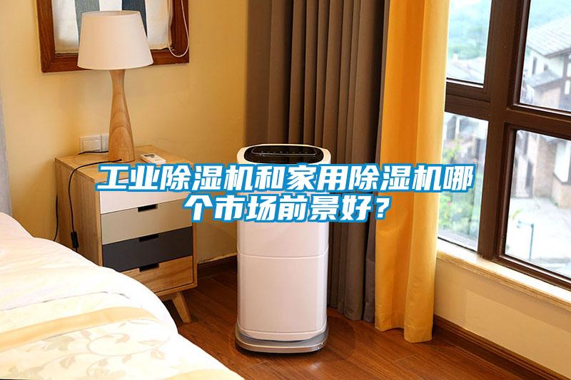 工業(yè)除濕機和家用除濕機哪個市場前景好？