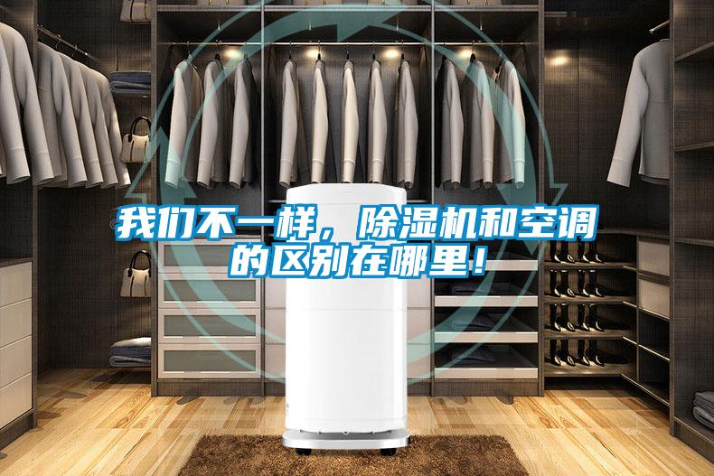 我們不一樣，除濕機和空調(diào)的區(qū)別在哪里！