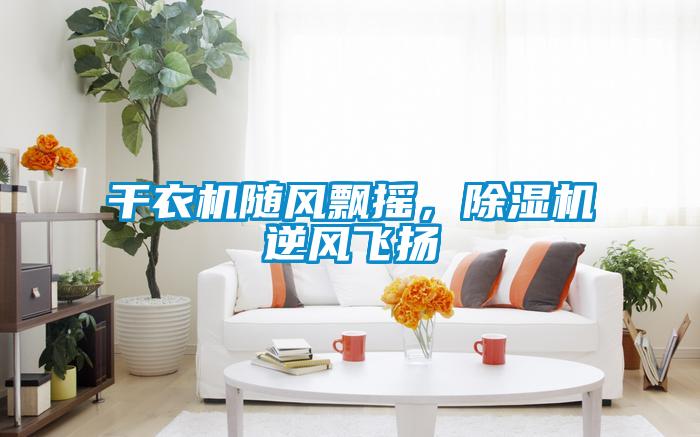 干衣機(jī)隨風(fēng)飄搖，除濕機(jī)逆風(fēng)飛揚(yáng)