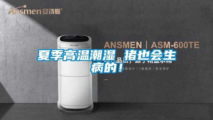 夏季高溫潮濕 豬也會(huì)生病的！