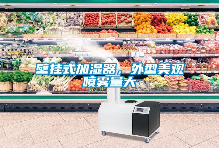 壁掛式加濕器，外型美觀噴霧量大