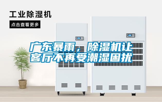 廣東暴雨，除濕機讓客廳不再受潮濕困擾