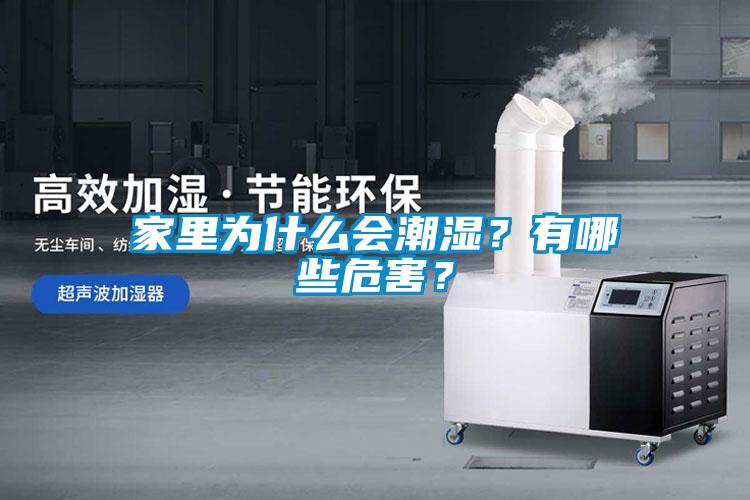 家里為什么會潮濕？有哪些危害？